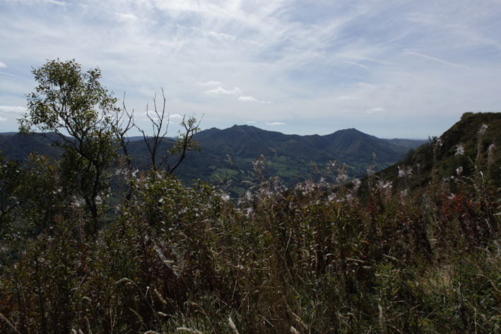 paysage cantal